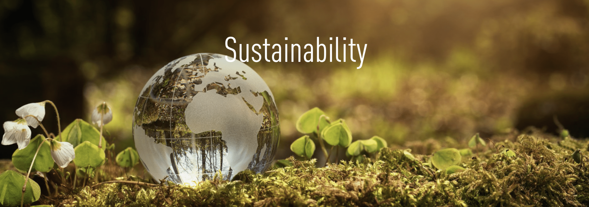 The Impact Of Pfas On Sustainability - Wellspring Consultants, Inc.